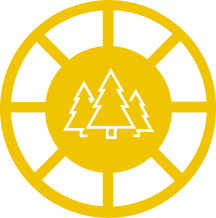 Curriculum Icon