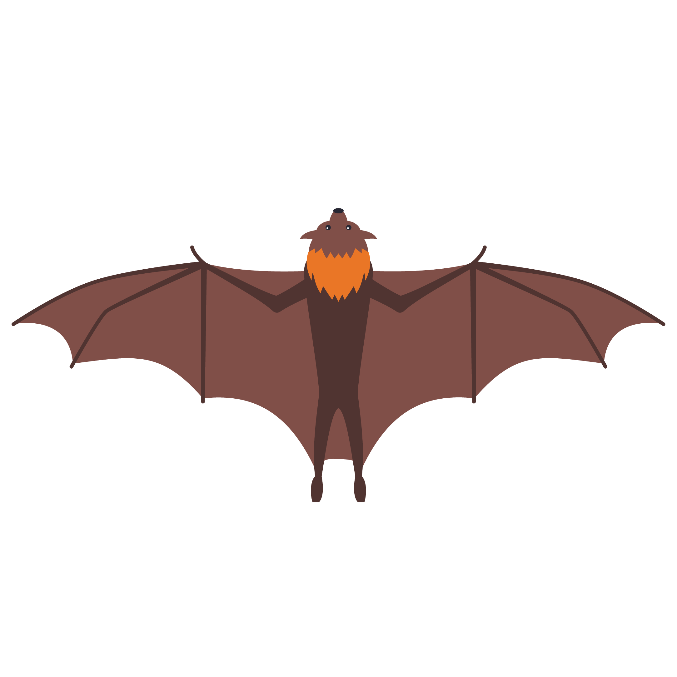 Bat Class